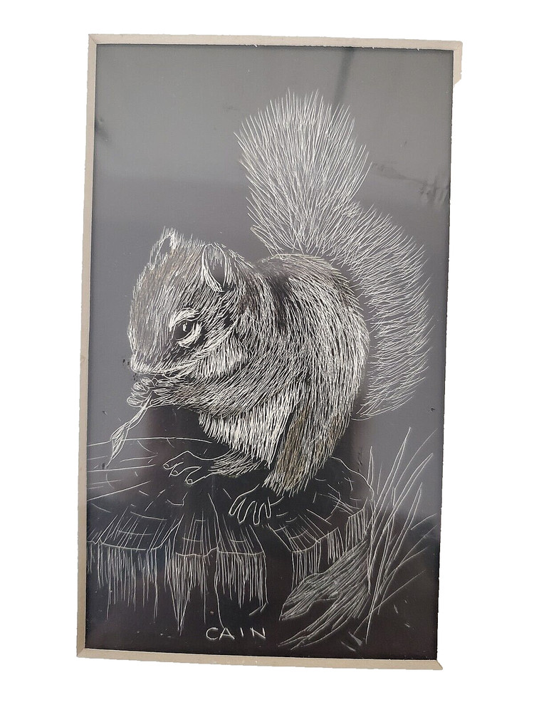 Bob Cain scratchboard print w/mat, 7×5 SQUIRREL #1079
