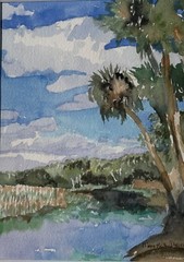 Sarasota, FL Myakka State Park / Orig W/C / Framed / 13″H x 11″ W/ Mimi Davis,