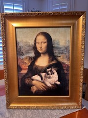19×24 Mona Lisa by Leonardo Da Vinci with A Cat Canvas With Certificates New