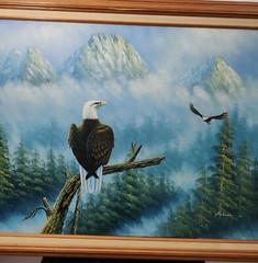 JOHN AMBROSE (1931-2010) Original Oil Painting On Canvas Wildlife Eagle Framed.