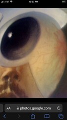 Surreal Sexy. Landscape 1997 Carlos Ariel Cuba. Cuban Art Arte Painting Latina