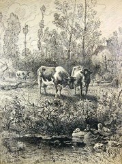 Adolf Lins 1856 Kassel – Düsseldorf / Handzeichnung / Teich mit Enten und Kühen