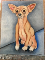 Original oil painting 11 x 14 inches cute chihuahua dog- free shipping