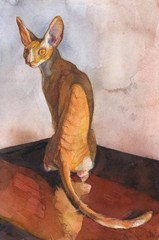 original painting 20 x 29.7 cm 31vO artwork watercolor modern Cornish Rex cat