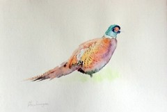 Pheasant. Birds, Watercolor artwork, Handmade, Original painting on paper