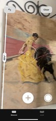 Bullfighter( Torerro Matador )