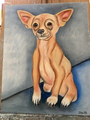 Original oil painting 11 x 14 inches cute chihuahua dog- free shipping