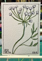 Painting by M. M. Hackney Botanical Flower Watercolor, Original Signed, 2.5×3.5