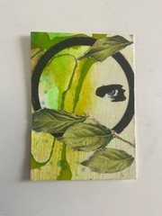 aceo original art eye botanical abstract green surreal oddities 2.5 3.5
