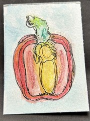 ACEO Original Art by C3 Design Goods – water color red pepper/line work