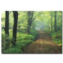 First Light by Patrick Zephyr Gallery-Wrapped Canvas Giclee (14 in x 20 in)