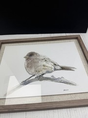 Hobby Lobby Framed Bird Print Watercolor Farmhouse Wall Art 11.5×14.75