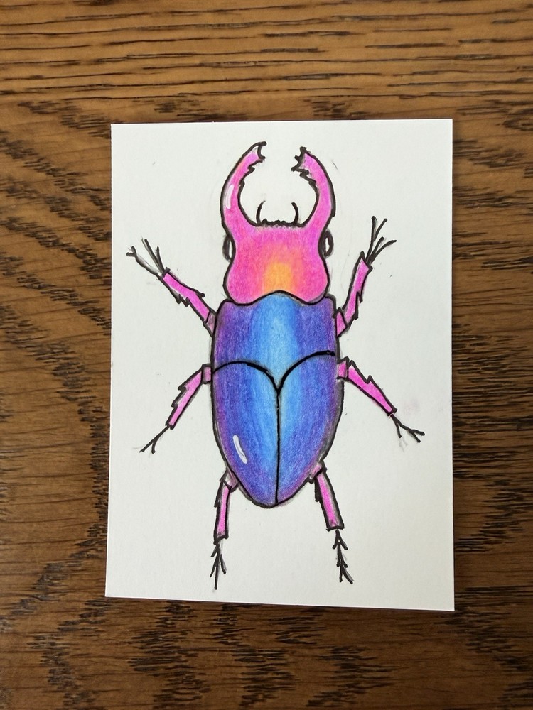 ACEO Original Colored Pencil Art Card Neon Beetle 2.5 x 3.5 Signed