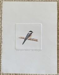 Original Black Capped Chickadee Bird Watercolor Painting Fran Ritchie Yost