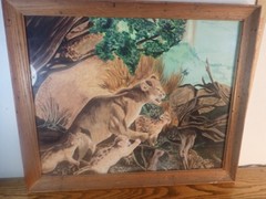 Basil Jennings 1956 original watercolor painting Lioness & Her Cubs -18×22 frame