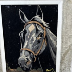 Set Of Mid Century Velvet Horse / Stallion Painting 16x 12.5 Paint By Numbers