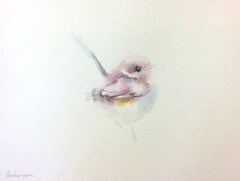 Fairy-wren, Watercolor artwork, Handmade, Original painting on paper