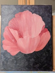 Poppy 11x14x0.5 in. 100% Hand Painted Oil On Canvas IS NOT A PRINT, Unframed