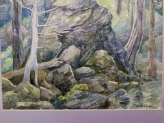 Deborah C Dawson Signed Watercolor Forest Rock Landscape Birds 21¼“x 21¼“ Framed
