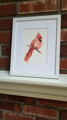 Red Cardinal. Print of an original watercolor painting. 5×7″with white mat 8×10″