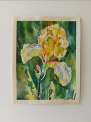 Yellow Iris Flower Watercolor Painting Still Life Irises Floral Wall Art 8“/6“
