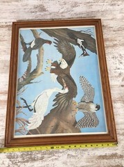 Vintage James Kukrul Wildlife Lithograph Signed Framed Eagle Falcon Crane Art