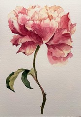Original Watercolor Painting „Peony Bloom“21×30 cm,8.3×11.7 in