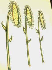 4TH JULY SALE! 2 Pastel Paintings 24 Tulips and 3 Sunflower