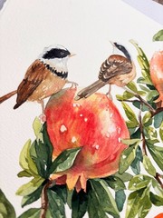 Original 11.7 x 16.5 inches Watercolor Painting „Two Birds in Pomegranate Tree“