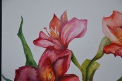 “Red Alstraemeria” Original watercolor painting Ukrainian artist