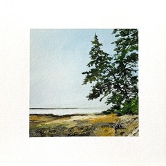 8×8 Maine Original Oil Painting Acadia Coastal Pinetrees Atlantic Ocean Signed