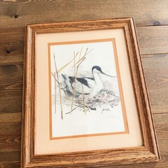 Mads Stage – Long-billed Bird & Chicks Watercolor Sketch, Framed Matted Signed