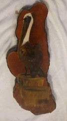 Pelican Painting On Slice Of Wood With Bark and Acrylic Covered.