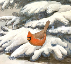 Original Bird Art Painting Cardinals by Robert Verity Clem, Signed, 1956, Framed