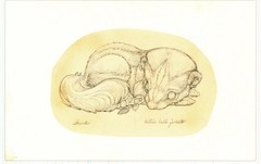 Deborah Bell Jarratt (PA,20/21C) graphite painting 154384