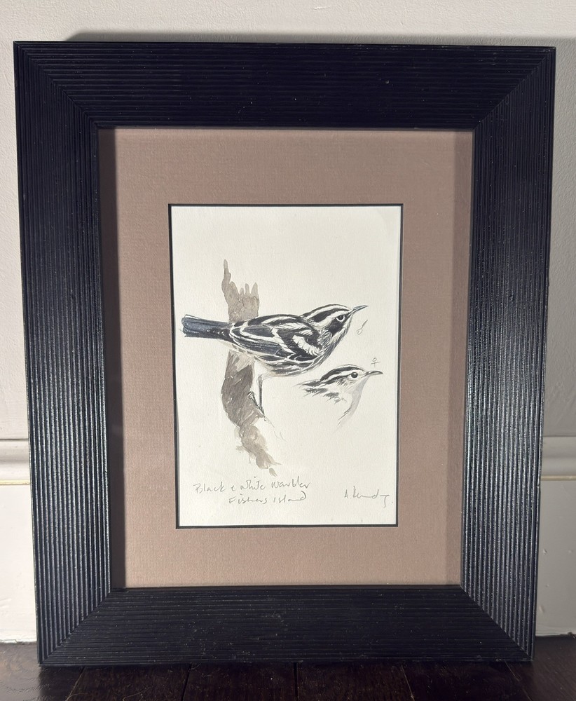 Tony Anthony Henneberg Fishers Island Warblers Watercolor Bird Art