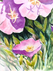 Original Watercolor Painting 12×10 in Unframed Signed Pink Flower Wall Art