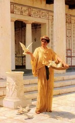 Ｏｉｌ　ｐａｉｎｔｉｎｇ nice young rome woman feeding the doves free shipping on canvas
