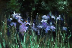 irises spring flowers Oil painting 8x12DEMENKO NATALIA