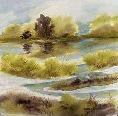 Original Watercolor 7”X7” Pamela Wilhelm White Sand Egret Tide Pools Inlet
