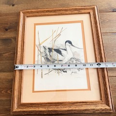 Mads Stage – Long-billed Bird & Chicks Watercolor Sketch, Framed Matted Signed