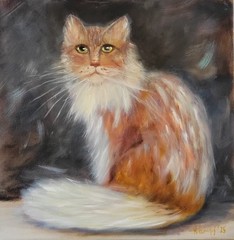 Painting oil canvas, cat, 40x40cm, hand painted, signed, NO FRAME