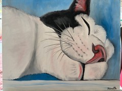 Original oil painting signed 11 x 14 in cute white and black cat sleeping