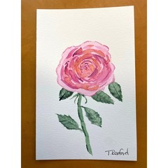 Hand painted watercolor original painting pink rose 8.5×5.5