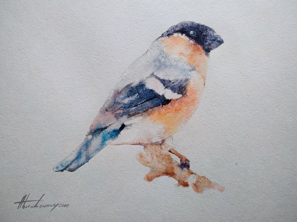 Bullfinch, Birds, Watercolor artwork, Handmade, Original painting on paper