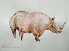 Rhinoceros, Animal, Watercolor artwork, Handmade, Original painting on paper
