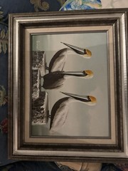 Pelican Oil Painting By Andre Lange