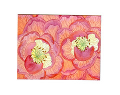 PAINTING WATERCOLOR 11X14 WHITE MAT 16X20 FLOWER PEONY PINK ORANGE ORIGINAL ART