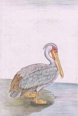 Handmade Sarus Crane Miniature Painting: Vintage Bird Art (5.25×7.5 inches)