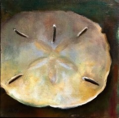Ocean Sand Dollar 12×12 in. Oil on stretched canvas HALL GROAT II